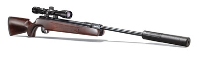 Remington Express XP Air Rifle