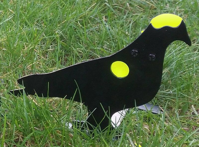 Gr8fun Pigeon Kill Zone Resetting Target