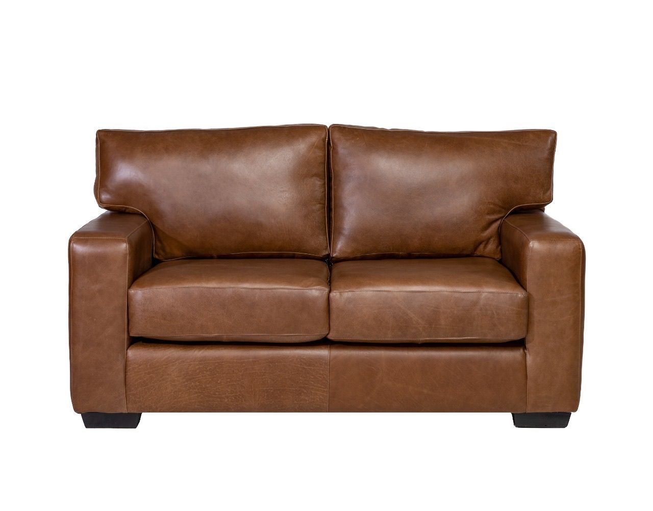 Ariata 2 Seater Couch in Fullgrain Leather