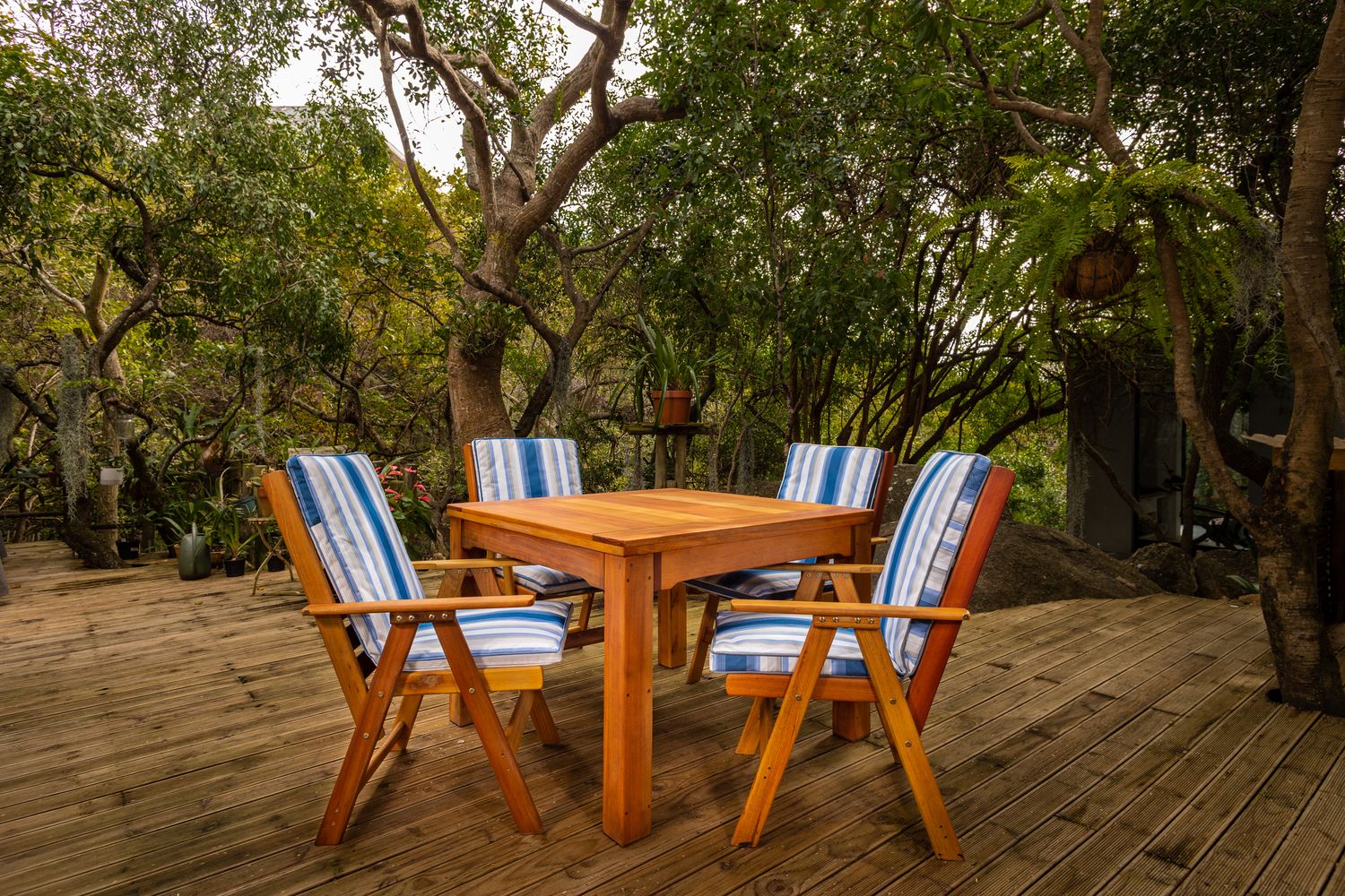 Solid Wood Patio 4 seater Table with Platinum Chairs