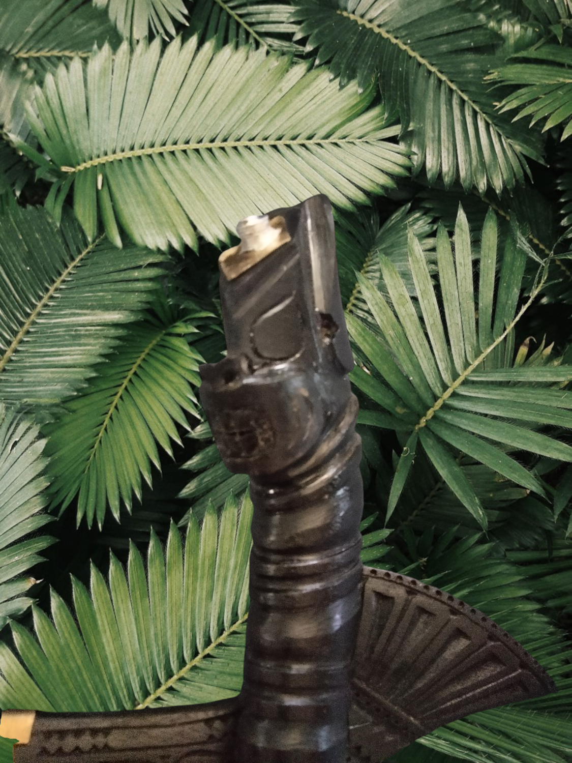 Jungle Bolo