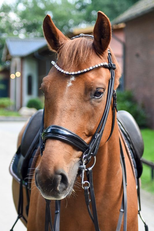 Slim Stirnriemen Konfigurieren