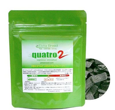 Ebita Breed Quatro 2 - 50g