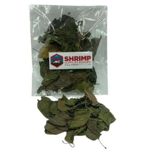 Mulberry leaves