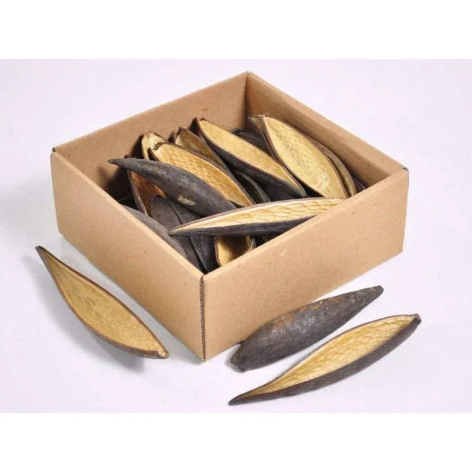 Canoinhas pod 10-14cm 1stk