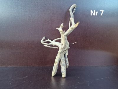 Redmoor rot nr 7