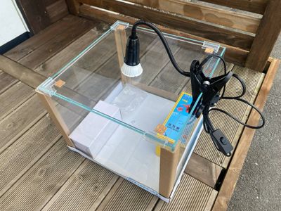 Akvariesett 320x320x260mm 26L