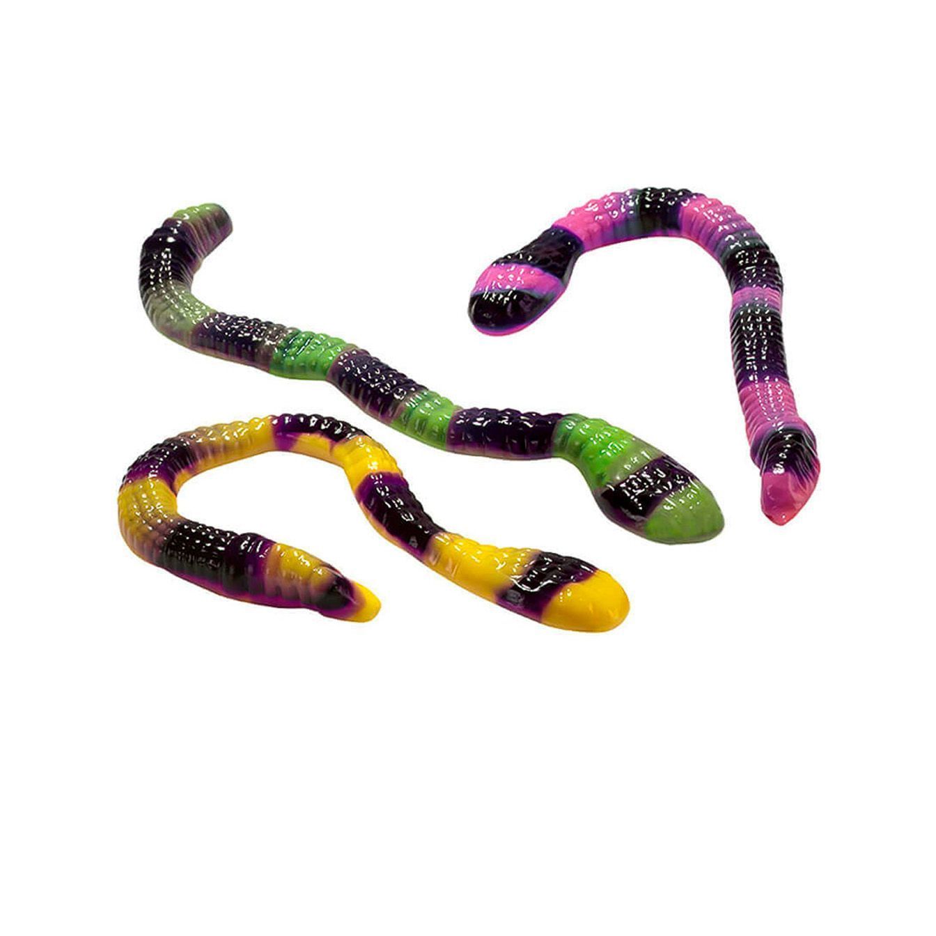ANACONDA