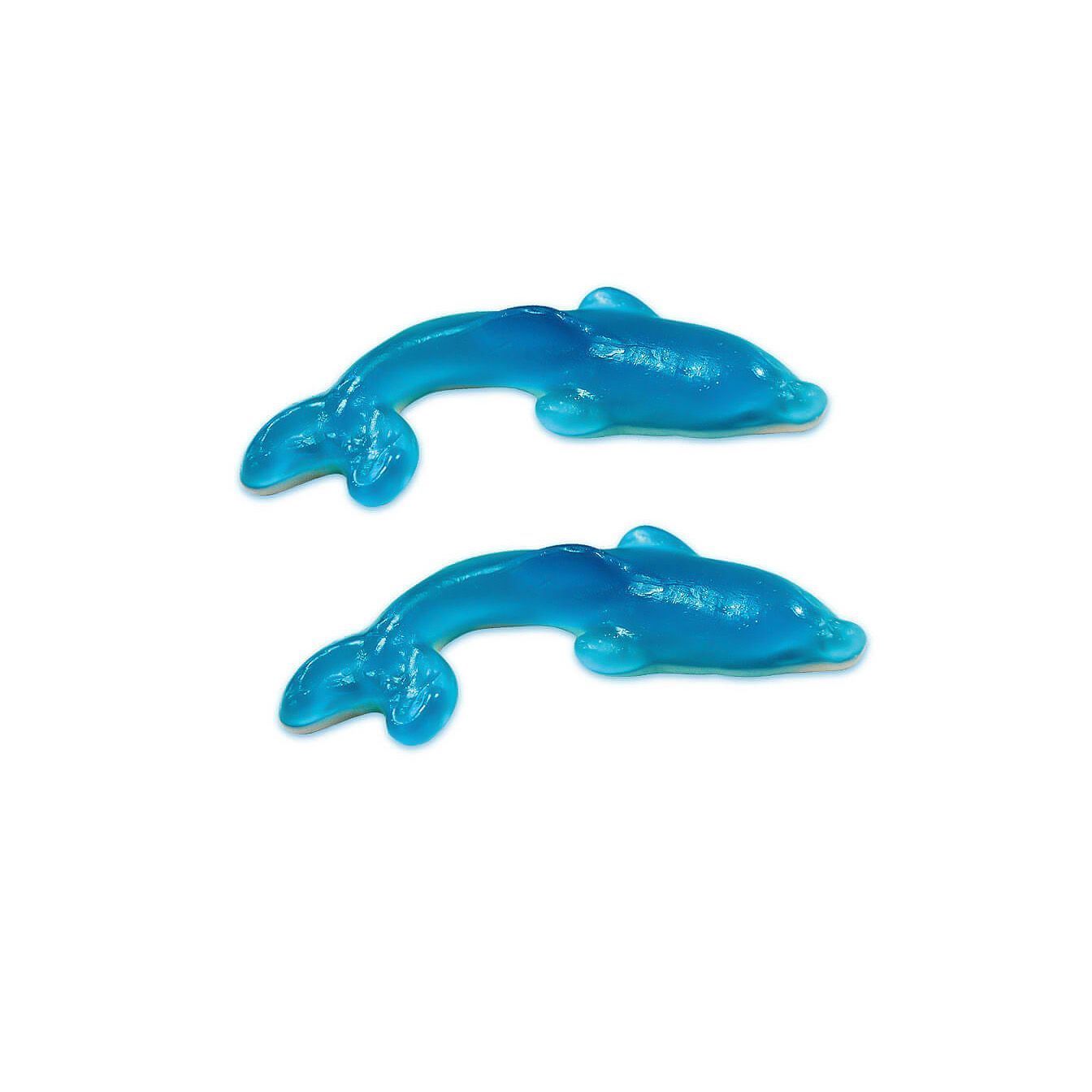 DELFÍN GIGANTE AZUL