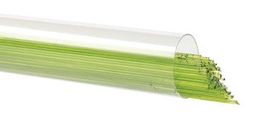 BULLSEYE GLASS 001426-0507-F-TUBE Spring Green Transparent, 0.5mm Stringer