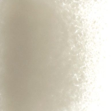 Bullseye Glass Elephant Gray Opal Fine Frit