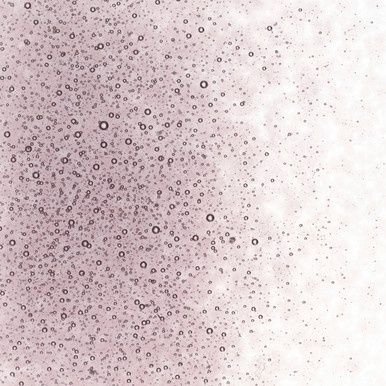 Bullseye Glass Light Violet Transparent Fine Frit