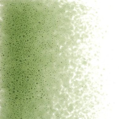 Bullseye Glass Olive Green Transparent Fine Frit