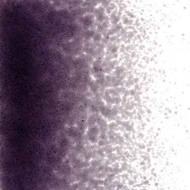 Bullseye Glass Deep Royal Purple Transparent Fine Frit