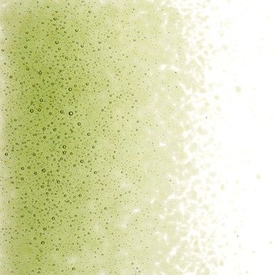 Bullseye Glass Fern Green Transparent Fine Frit