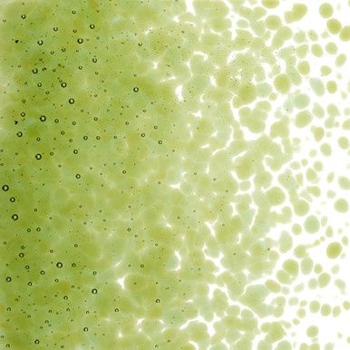 Bullseye Glass Fern Green Transparent Medium Frit