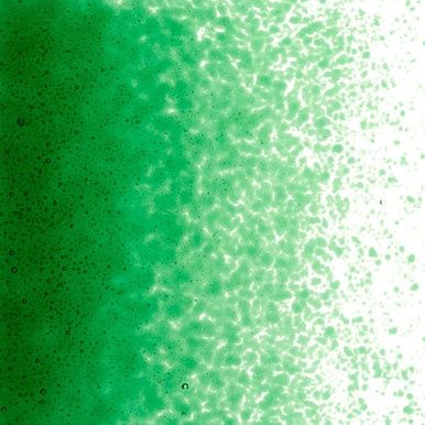 Bullseye Glass Kelly Green Transparent Fine Frit