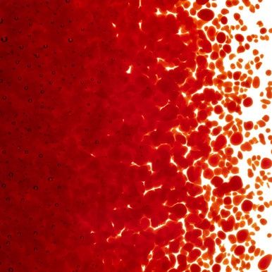 Bullseye Glass Red Transparent Medium Frit