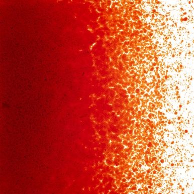 Bullseye Glass Red Transparent Fine Frit
