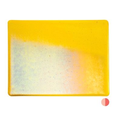 Yellow Rainbow Irid (001120-0031-F-1010)