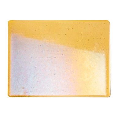 Medium Rainbow Irid (001137-0031-F-1010)
