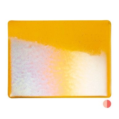 Marigold Yellow Irid Rainbow (001320-0031-F-1010)