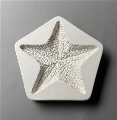 LF262 Large Starfish