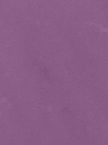 EZS-365 New Gold Purple