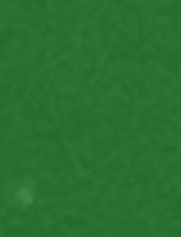 EZS-348 Medium Green