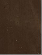 EZS-367 New Chocolate