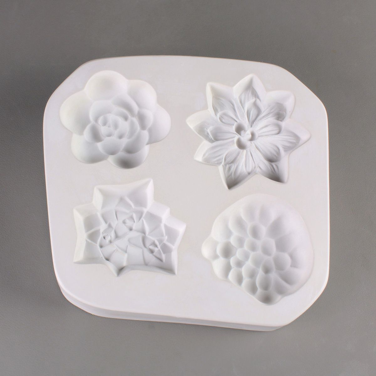 LF173 Small Succulents (4)