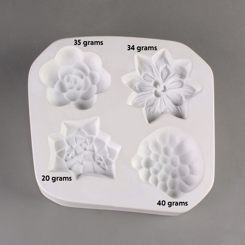 LF173 Small Succulents (4)