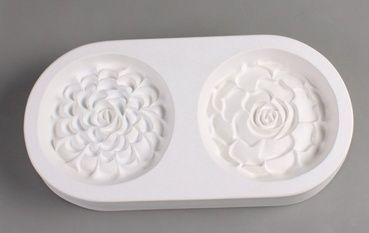 LF171 Two Round Succulents