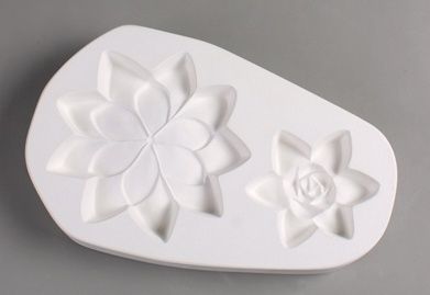 LF172 Double Succulents