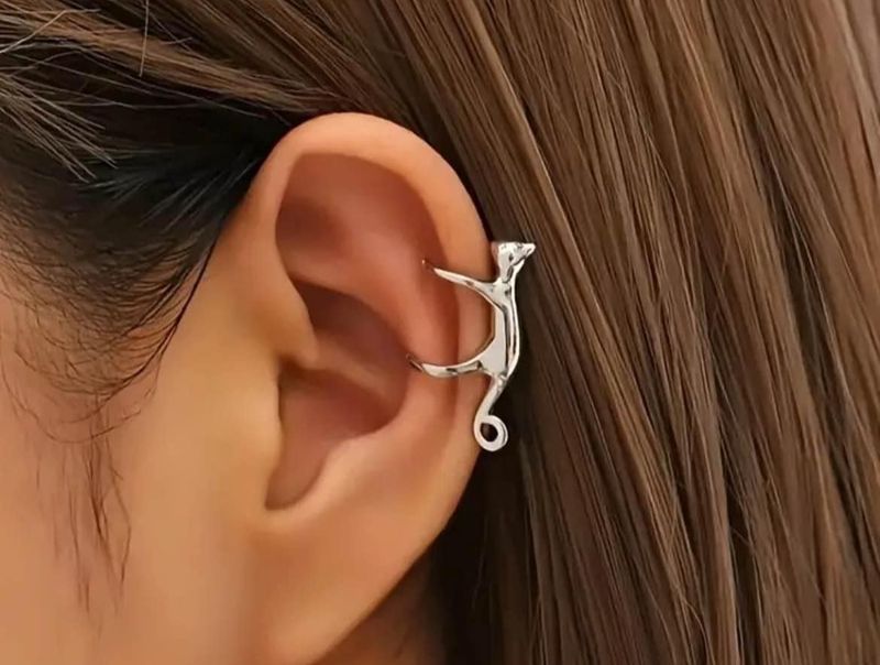 Earrings/Ear cuffs