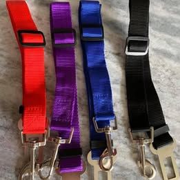 Seatbelts