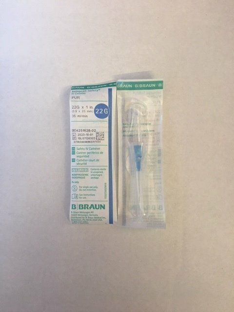 IV CATH SAFETY BRAUN 22X1-EA