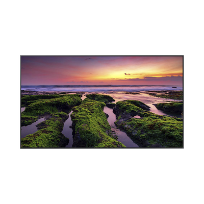 Pantalla Profesional LED de 55&quot;, UHD 4K (3840x2160p), Entradas de Video HDMI, Bocinas Integradas de 10 W. Compatible VESA