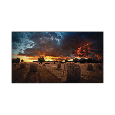 Pantalla Profesional LED de 55&quot; para Video Wall, Full HD (1080p), HDMI/DVI-D/DP, Bisel Ultra Delgado de 2.3mm. Compatible VESA