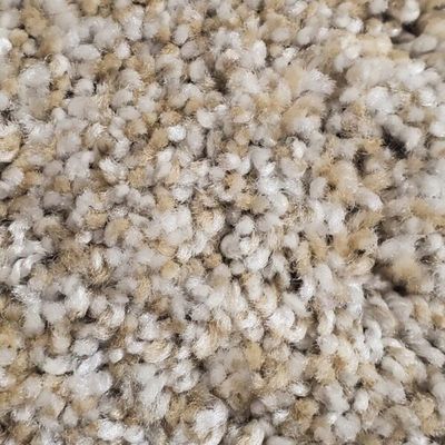 Polyester Carpet