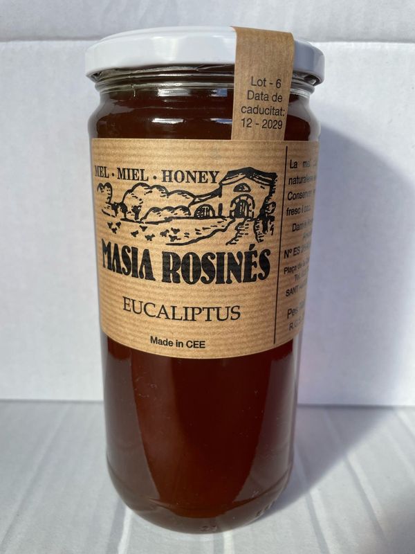 Miel Eucaliptus 1kg