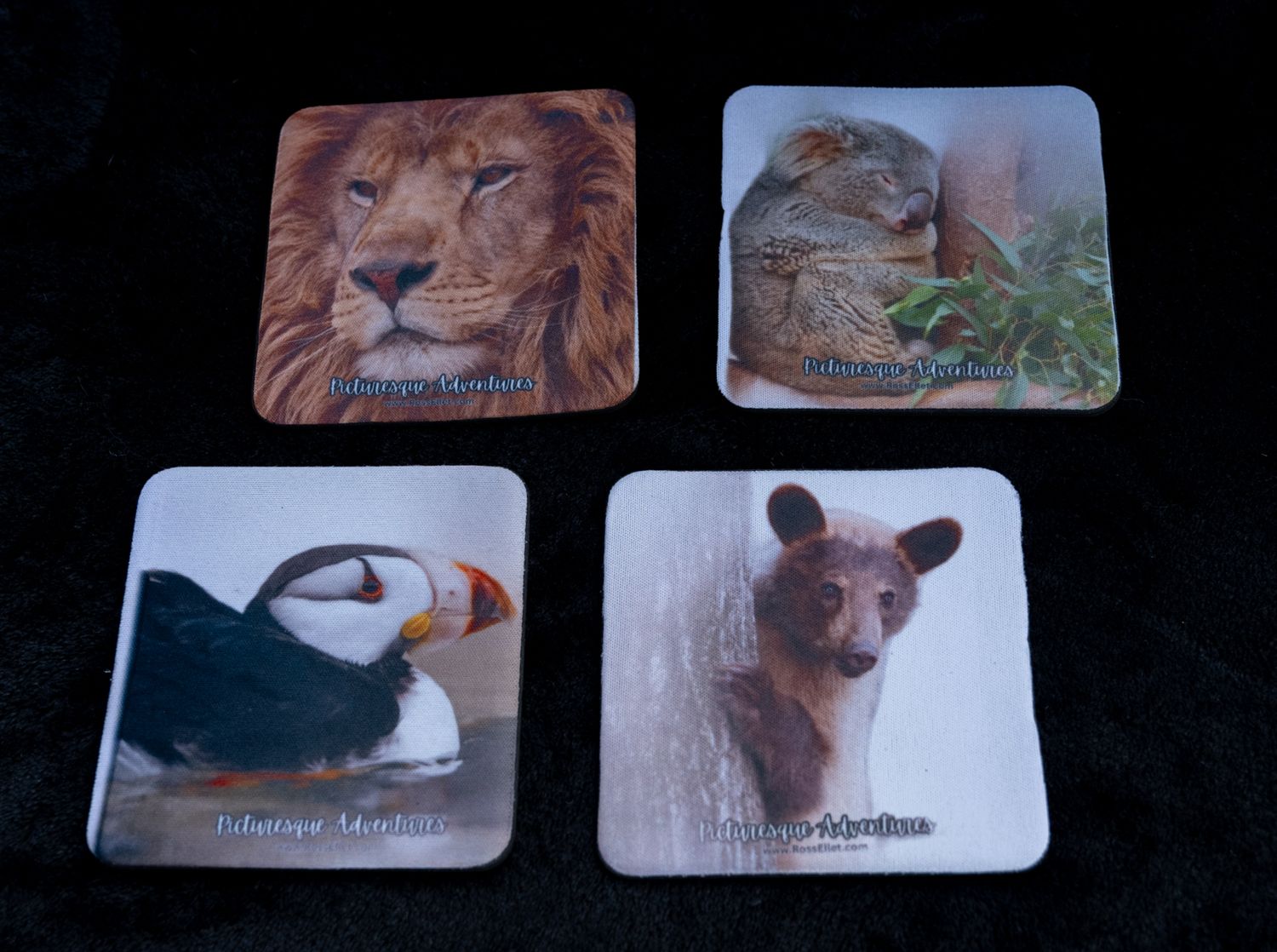 Coaster Set: Wildlife
