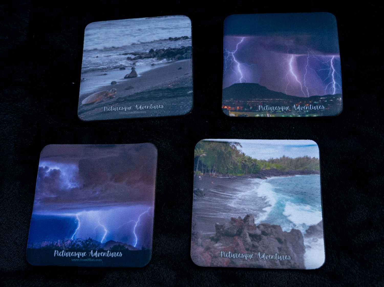Coaster Set: Striking Nature