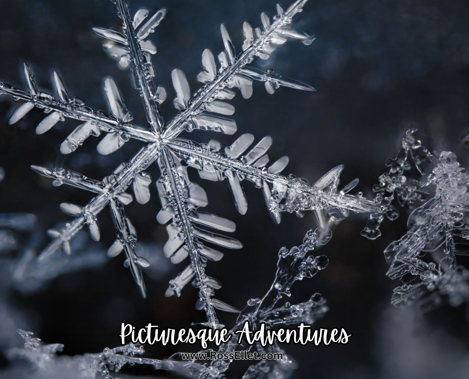 Mouse Pad:Snowflake