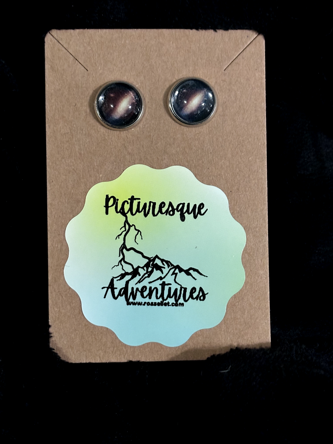 Stud Earrings: Andromeda Galaxy