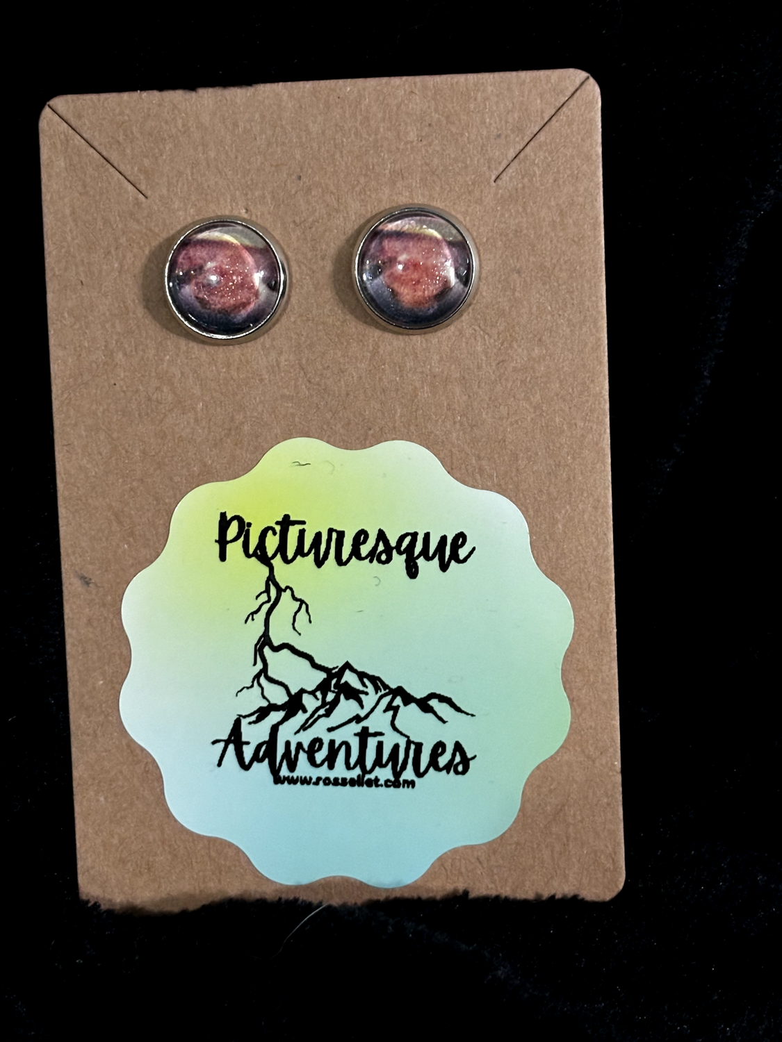 Stud Earrings: Horseshoe Bend