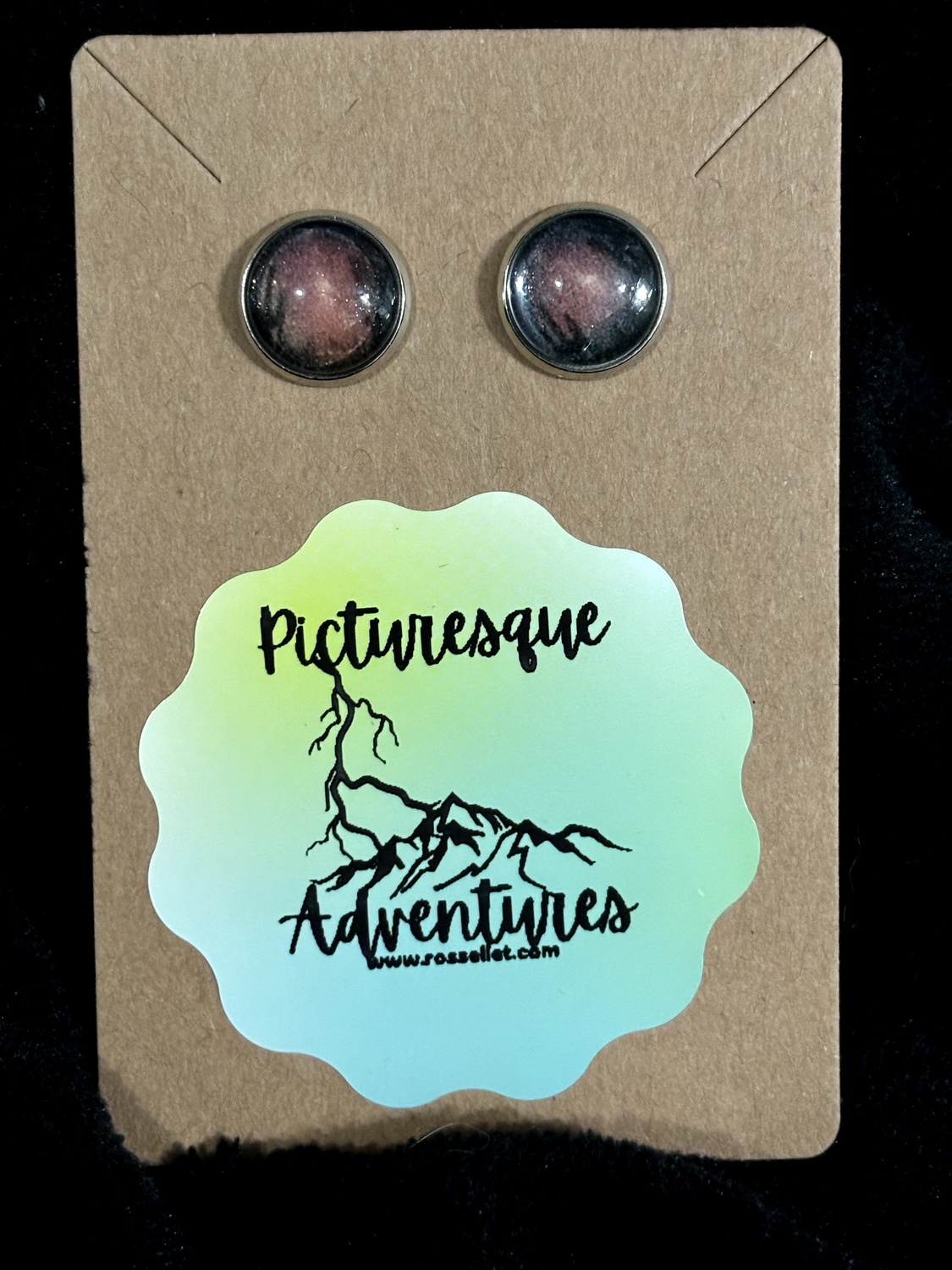 Stud Earrings: Arizona Night Sky