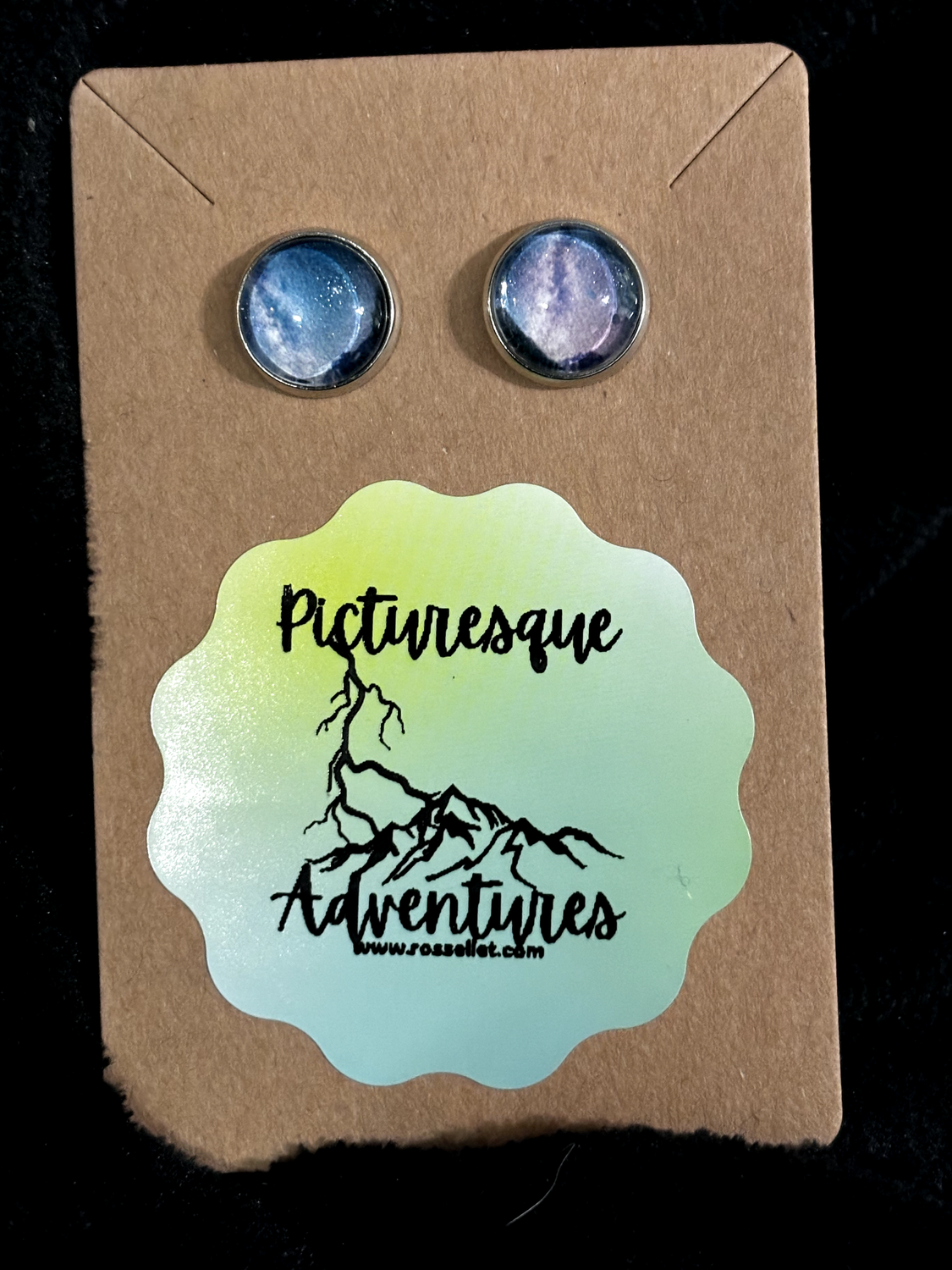 Stud Earrings: Death Valley Milkyway
