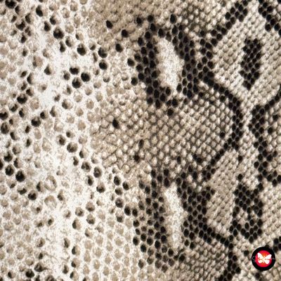 **HOY** Blusa de manga corta estampado serpiente VILA Talla 40
