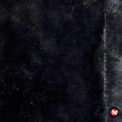 **HOY** Cuello de pelito